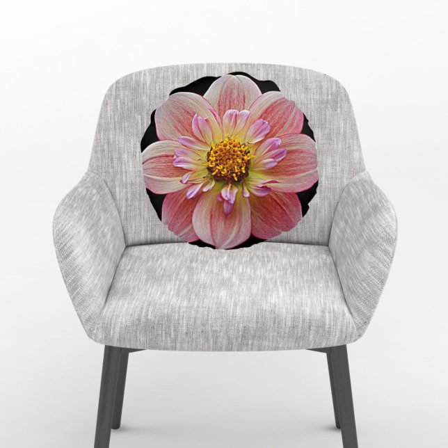 Pink Collarette Dahlia on Black Floral Round Cushion (In Situ Chair)