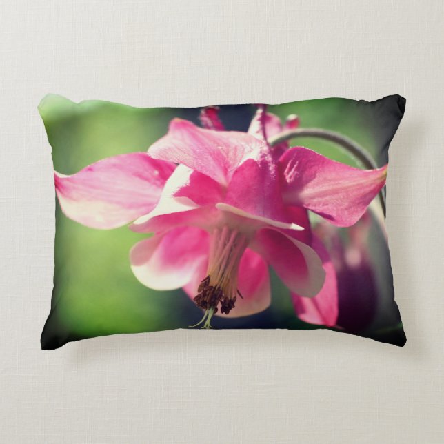 Pink Columbine Flower Close Up   Decorative Cushion (Front)