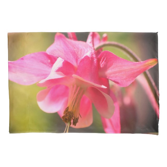 Pink Columbine Flower Close Up    Pillowcase (Front)