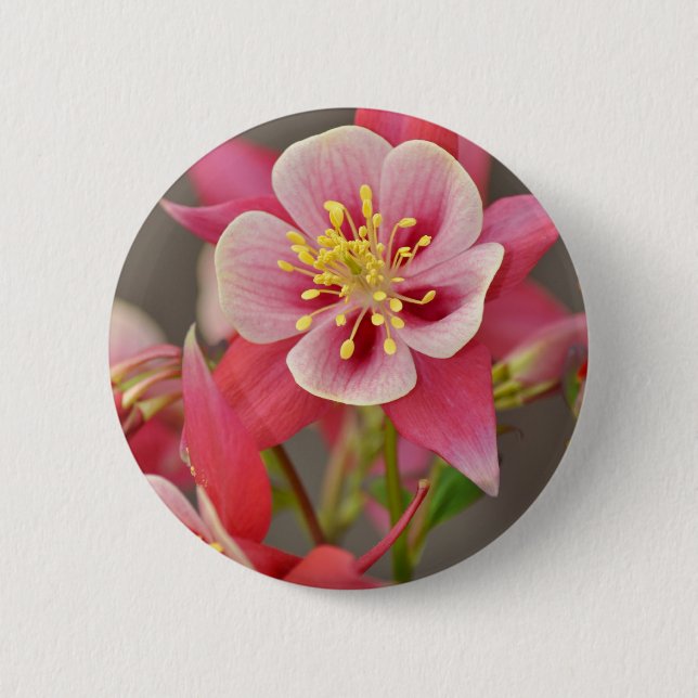 Pink columbine flower print 6 cm round badge (Front)