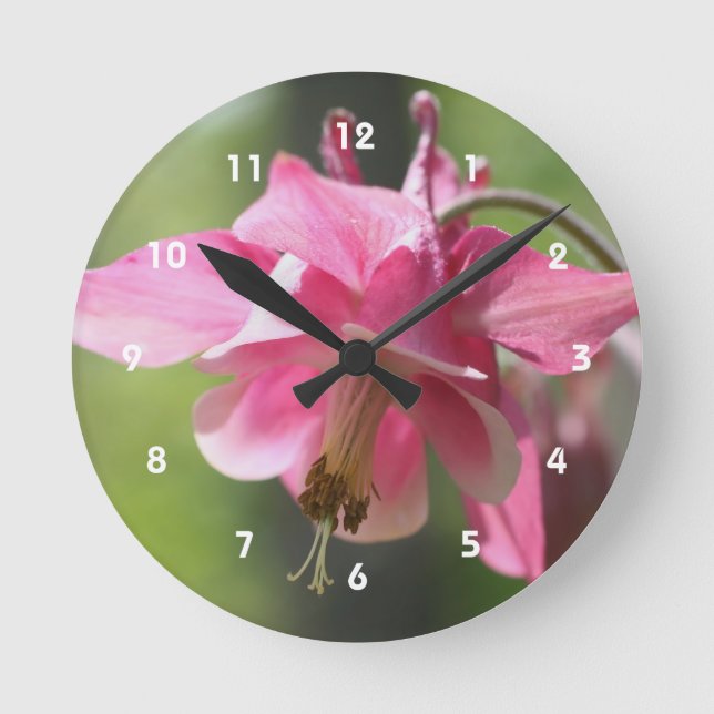 Pink Columbine Flower Round Clock (Front)