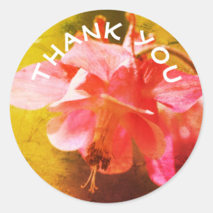 Pink Columbine Flower Thank You  Classic Round Sticker