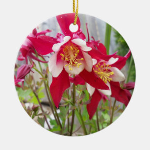 Pink Columbines Ornament