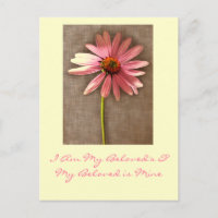 Pink Cone Flower -I am My Beloved's and My Beloved