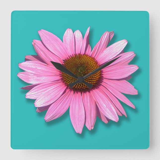 Pink Cone Flower | Turquoise Green Background Square Wall Clock (Front)