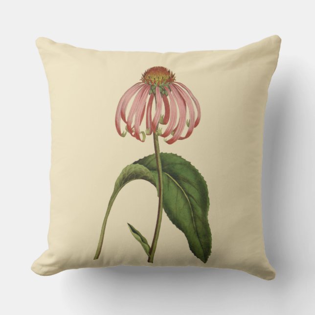 Pink Coneflower Botanical Outdoor Pillow 20" x 20" (Front)