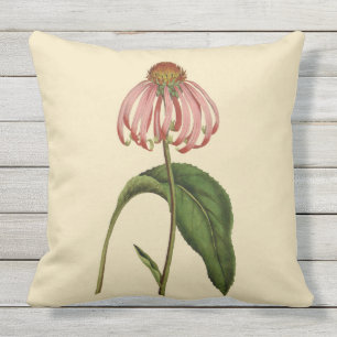 Pink Coneflower Botanical Outdoor Pillow 20" x 20"