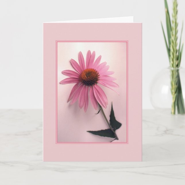 Pink Coneflower Greeting Card (Front)
