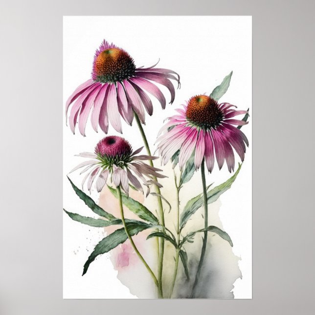 Pink Coneflowers Art Print Poster (Front)