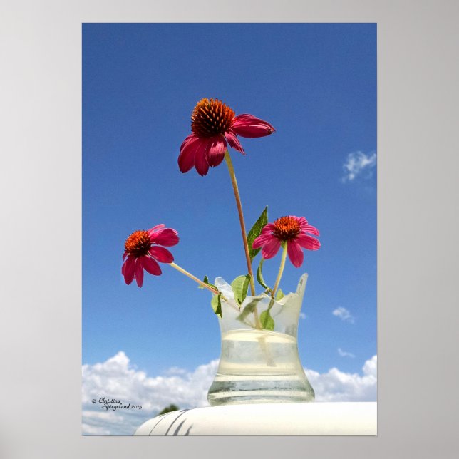 Pink coneflowers flowers Poster (Front)