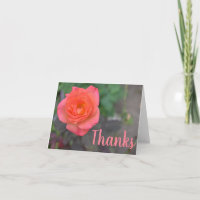 Pink Coral Rose Flower Photography Thank You