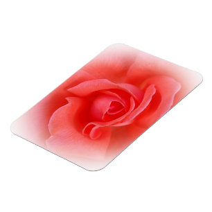 pink coral rose magnet