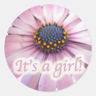 Pink Coreopsis Daisy It's a Girl New Baby Stickers