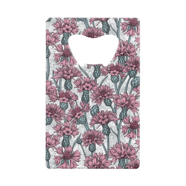 Pink cornflowers, wild flowers on white (Front)