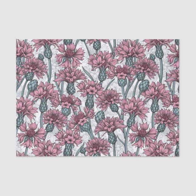 Pink cornflowers, wild flowers on white tissue paper (Front)