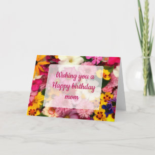 pink cosmos - card
