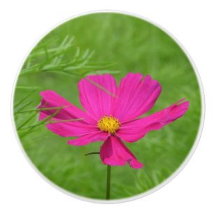 Pink Cosmos Ceramic Knob