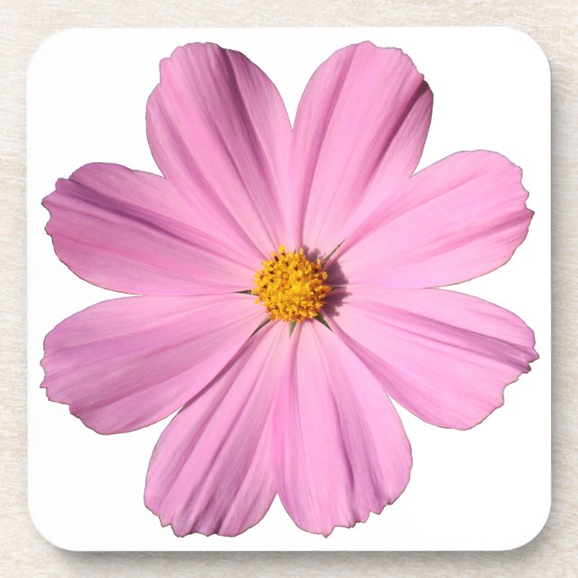 Pink Cosmos Coaster (Front)