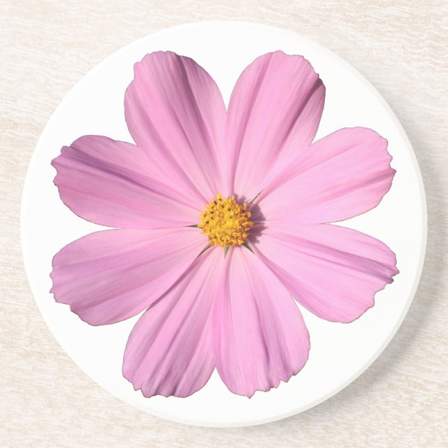 Pink Cosmos Coaster (Front)