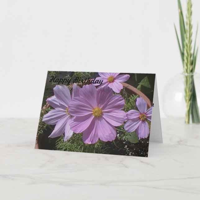 Pink Cosmos Flower Birthday Card (Front)