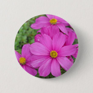 Pink cosmos flower garden 6 cm round badge