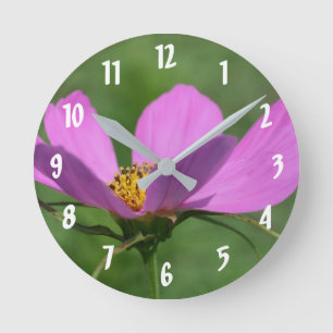 Pink Cosmos Flower Up Close Round Clock