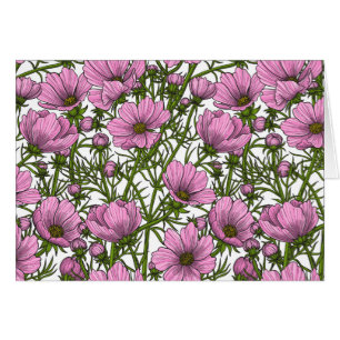 Pink Cosmos flowers