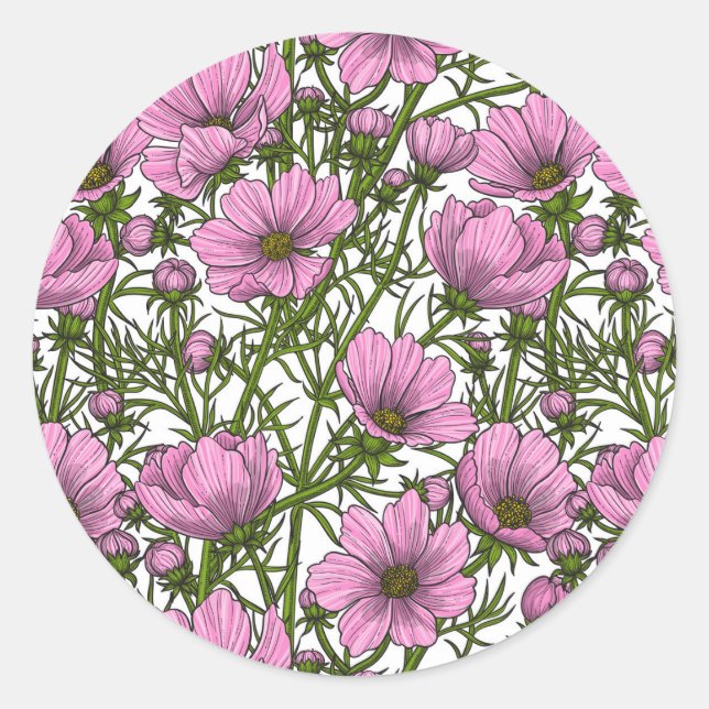 Pink Cosmos flowers Classic Round Sticker (Front)