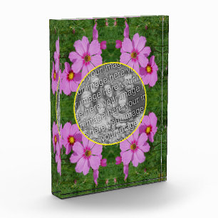 Pink Cosmos Flowers Frame Add Your Photo Block