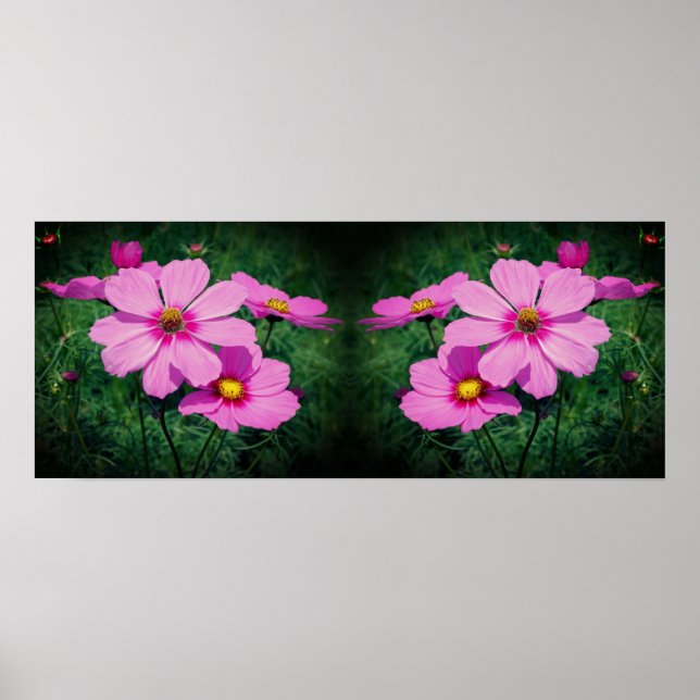 Pink Cosmos Flowers Mirror Abstract Poster (Front)