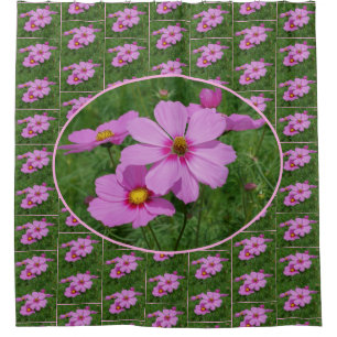 Pink Cosmos Flowers Pattern    Shower Curtain