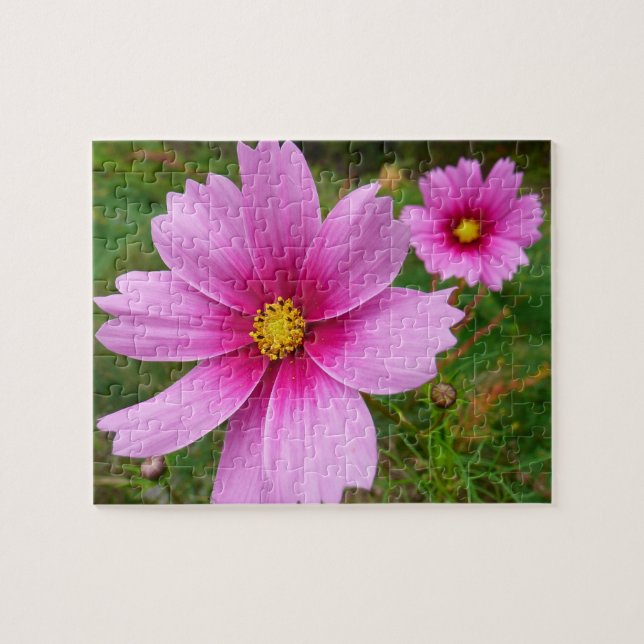 Pink Cosmos Flowers Wildflower Jigsaw Puzzle (Horizontal)