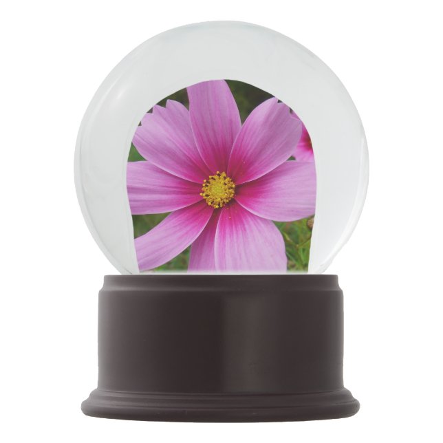 Pink Cosmos Flowers Wildflower Snow Globe (Front)