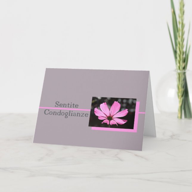 pink cosmos italian sympathy card (Front)