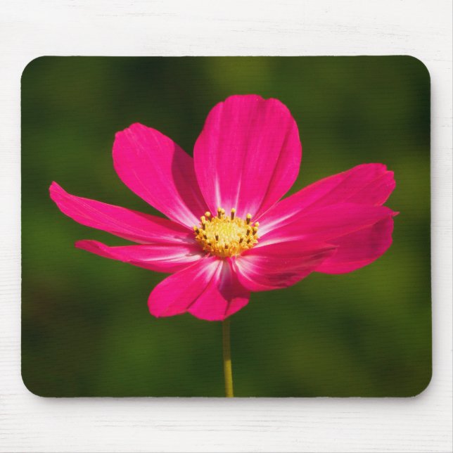 Pink Cosmos Mouse Pad (Front)