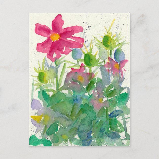 Pink Cosmos Nigella Flower Garden Watercolor Postcard (Front)