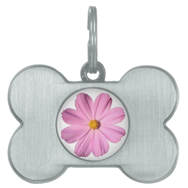 Pink Cosmos Pet Name Tag (Front)