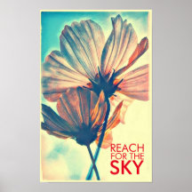 Pink Cosmos Reach for the Sky Quote