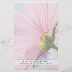 Pink Cosmos • Stationery