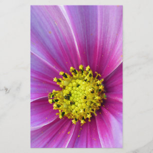 Pink Cosmos Stationery