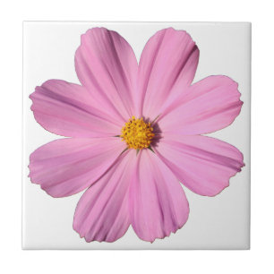 Pink Cosmos Tile