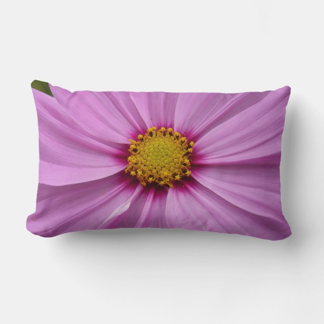 Pink Cosmos Wildflower Floral Lumbar Cushion (Front)