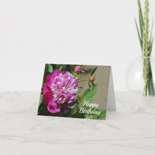 Pink Cottage Peony Flower Happy Birthday  Card