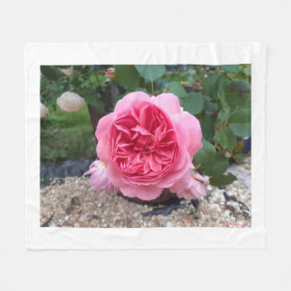 Pink Country Rose Floral Fleece Blanket