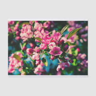 Pink Crab Apple Flowers Tissue Paper