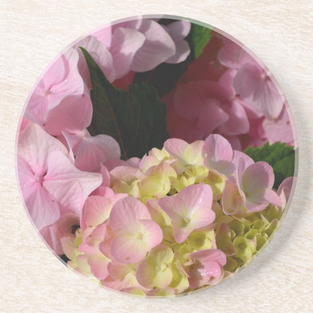Pink Cream Hydrangeas yellow pink green floral  Coaster (Front)