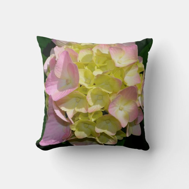 Pink Cream Hydrangeas yellow pink green floral  Cushion (Front)