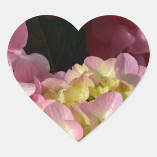 Pink Cream Hydrangeas yellow pink green floral  Heart Sticker