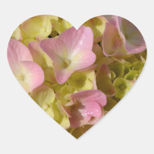 Pink Cream Hydrangeas yellow pink green floral  Heart Sticker