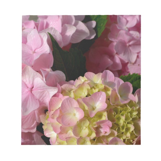 Pink Cream Hydrangeas yellow pink green floral  Notepad (Front)